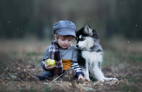 2024年属羊的宝宝适合取什么名字 2024年属羊的宝宝取名