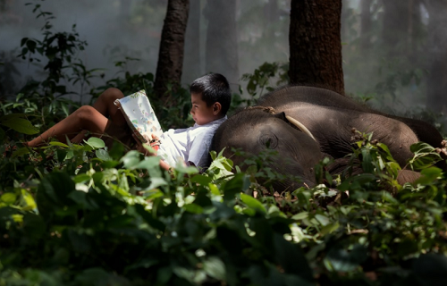 2024年羊宝宝男孩名字免费 2024年羊宝宝男孩名字大全取名