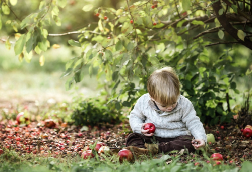 王姓男孩名字2024年属羊起名 王姓男孩名字2024年羊宝宝