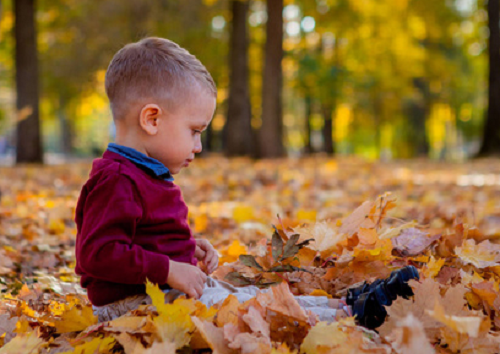 男孩名字大全2024最新版的属羊 男孩名字大全2024最新版的属羊免费