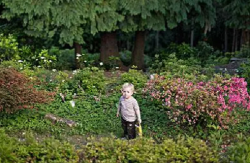 2024年猪宝宝男孩名字免费 2024年猪宝宝男孩名字大全取名