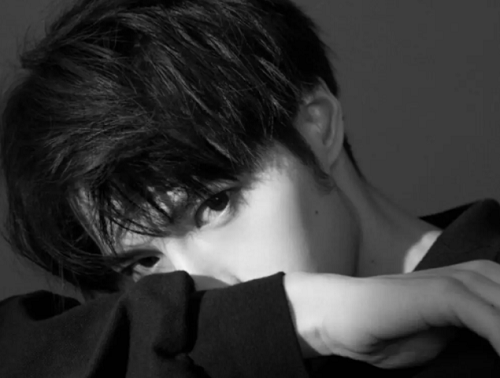 2024年猪宝宝男孩名字 2024年猪宝宝男孩起名字