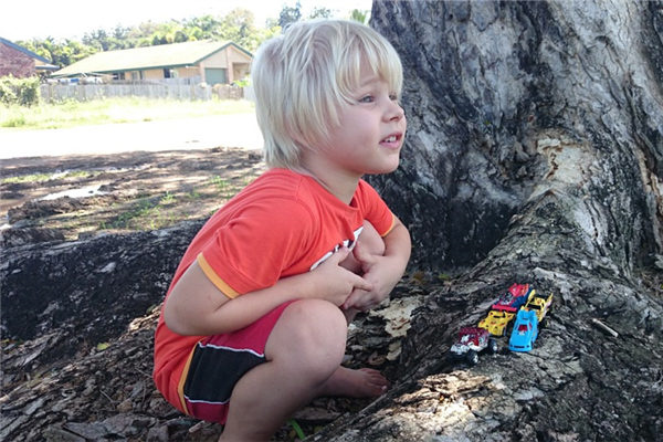 徐姓加林姓取名男孩_徐姓男宝宝取名推荐_属兔沉稳霸气名字