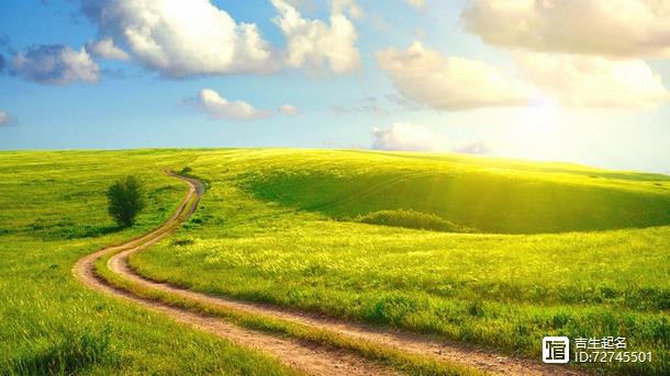 易经网取名女孩虎年宝宝_《易经》取名文化_吉生起名《易经》取名