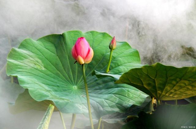 诗词唯美男孩名字_诗词取名男孩单字_诗词取名男孩100个好名