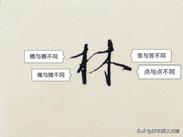 姓氏书写建议_楷行草书写技巧_展姓男孩取名