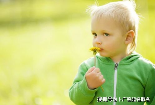 邓姓男孩起名技巧_周易 男孩取名_查阅名篇古籍给男孩起名