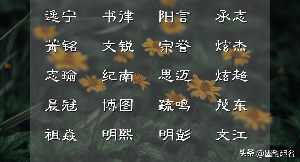 从诗词中取名寓意_培养孩子文化底蕴名字_男孩苏取名