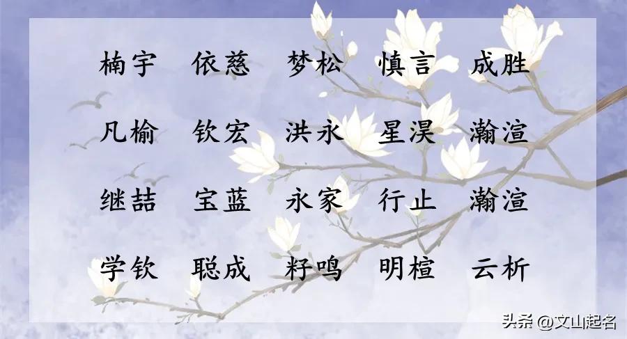 寓意美好的男孩名字_吉祥宝宝名字男孩_男孩取名李白