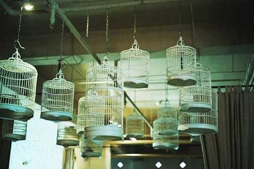 春季出世女宝宝取名_怎样给春天出生的女宝宝起名 春季出生的女宝宝名字大全