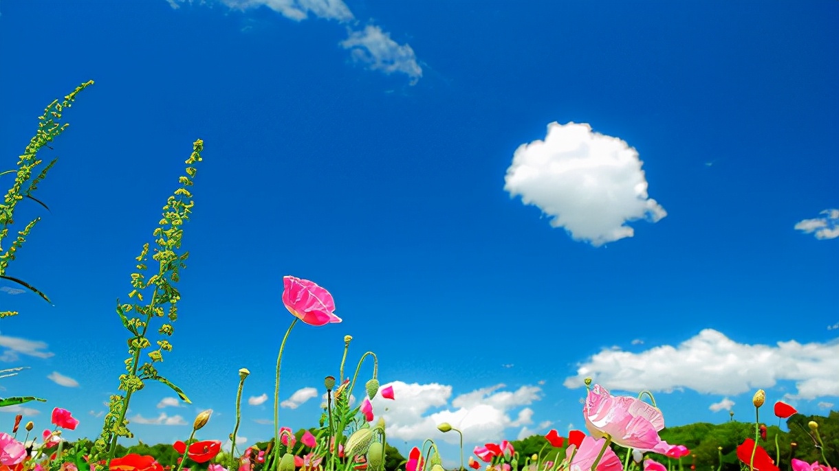 吉生起名小程序_五行旺的男孩取名字_易经男宝宝名